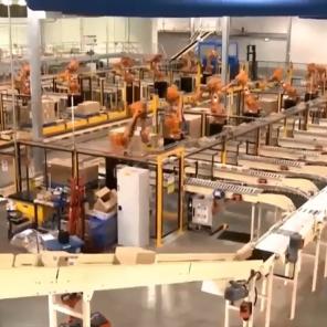 Robotic Automation 